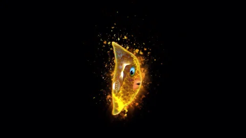 Firefish Stock Footage 262360154