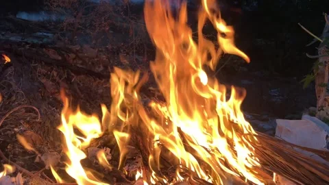 Fireflame 4k video Video stock 289000842