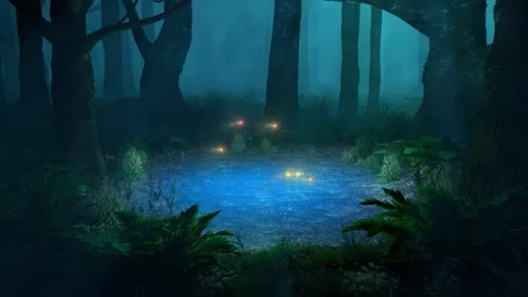 Fireflies above pond in the forest Stock Footage 339244961
