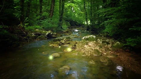 Fireflies and beautiful forest stream Stock-Footage 319887072