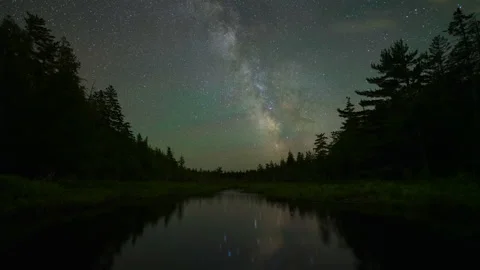 Fireflies And The Night Sky Stock Footage 219784345