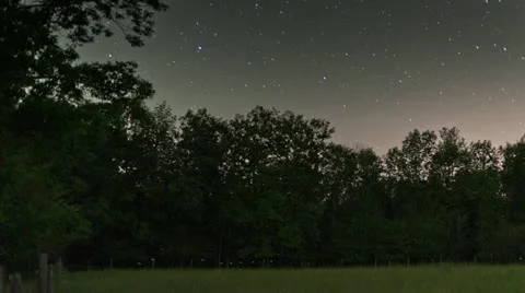 Fireflies and startrails Stock Footage 11629393