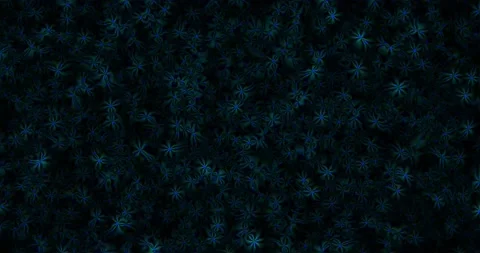 Fireflies on dandelion umbrellas Stock Footage 140639776