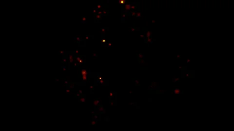 Fireflies Stock Footage 24805852