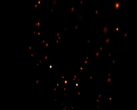 Fireflies Stock Footage 24814051