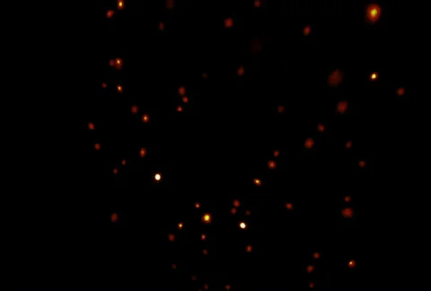 Fireflies Stock Footage 24814059