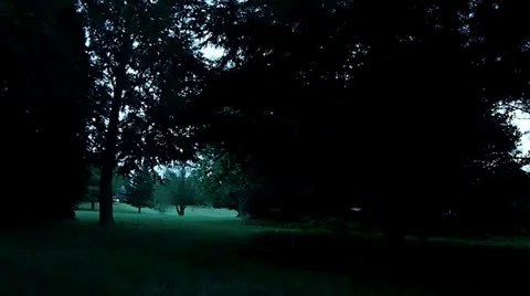 Fireflies Stock Footage 25394486