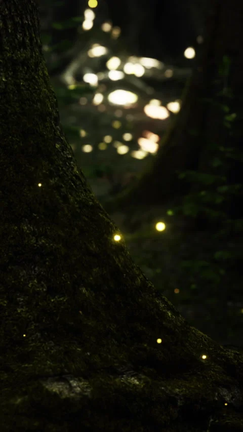 Fireflies gather around a tree trunk in a dark forest at night Stock Footage 346677388
