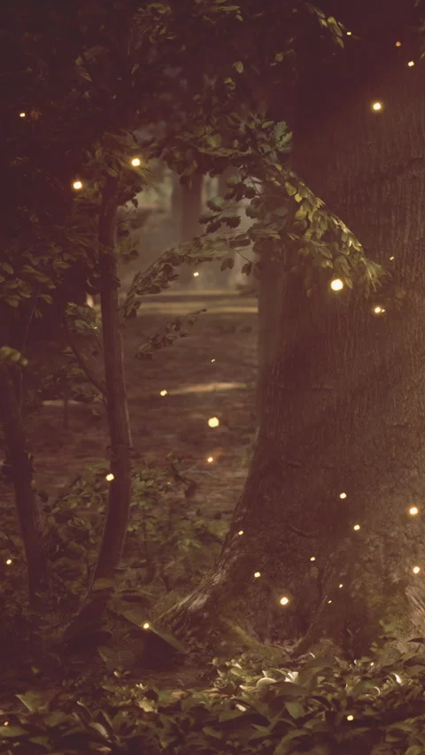 Fireflies gather near a tree in a forest at night during summer months Stock Footage 340644118