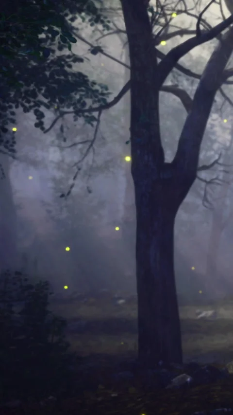 Fireflies glow in a dark forest at night near a tall tree Stock Footage 335969593