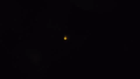 Fireflies Glow in The Darkness Stock Footage 304253693