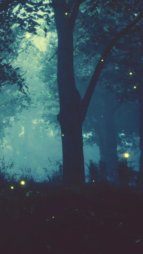 Fireflies glow in the forest during dusk in summer months near trees Stock Footage 338420438