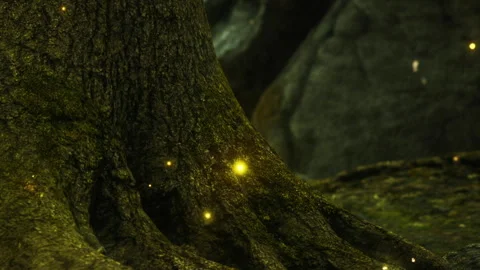 Fireflies glow near a tree in a forest at night during the summer Stock Footage 340626316