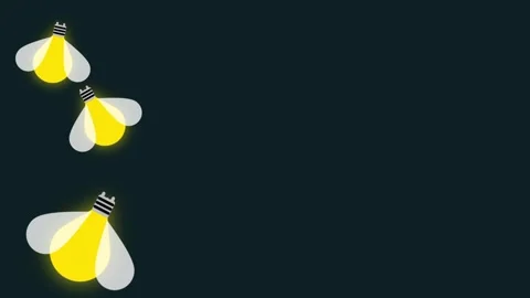 Fireflies Glowing Dark Stock Footage 346803492