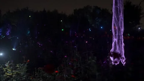 Fireflies glowing in a dark garden at night with soft ambient light Stock Footage 341950488