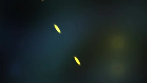 Fireflies glowing in the dark night. Stock Footage 335512308