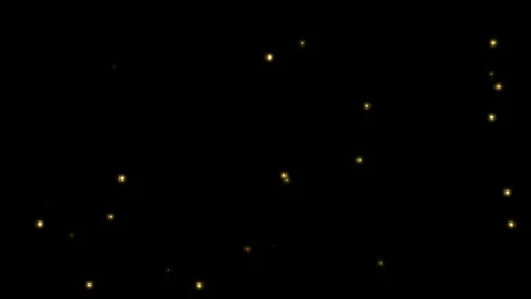 Fireflies Golden Glow Seamless Loop 4K Black Background Stock Footage 328931471