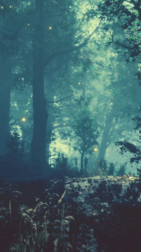 Fireflies illuminate the dark forest at night among the tall trees Stock Footage 338426419