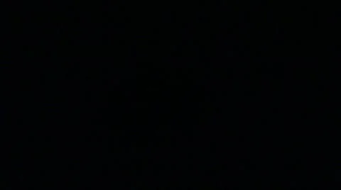 Fireflies isolated on white background Stock Footage 48594840