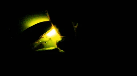 Fireflies isolated on white background Vídeo Stock 49023054