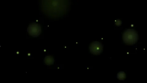 Fireflies light animation, black background, loop Vídeos de archivo 264013083
