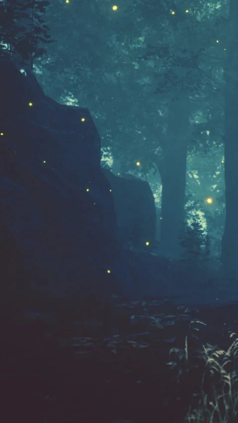 Fireflies light up a dark forest during night in summer Stock Footage 338424455