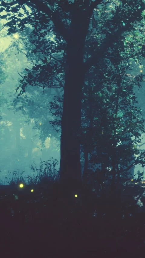 Fireflies light up a dark forest on a warm summer night in nature Stock Footage 338388975