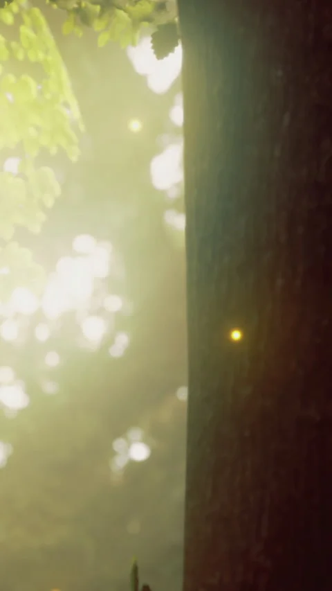 Fireflies light up a forest during summer evenings in a quiet setting Stock Footage 342446222