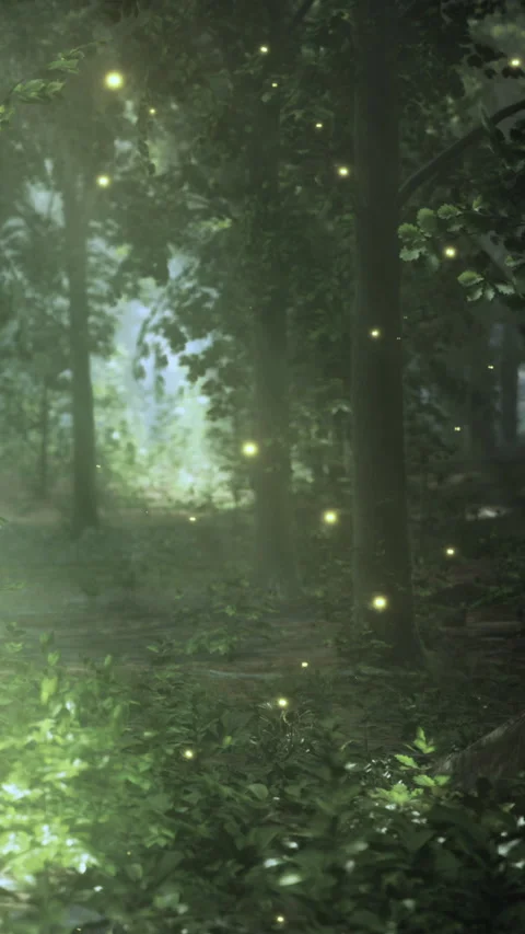 Fireflies light up a forest at dusk in a quiet evening scene with trees Stock Footage 342184169