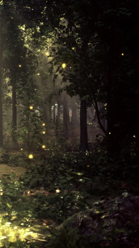 Fireflies light up the forest at night among the trees and plants Stock Footage 331689586