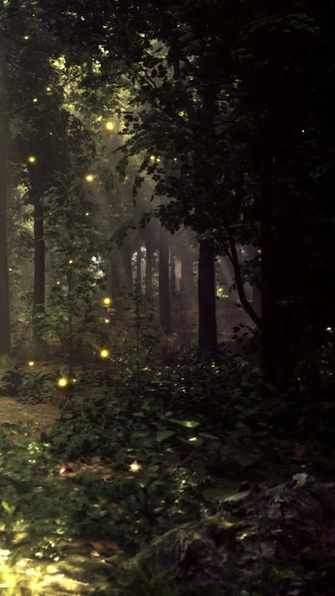 Fireflies light up the forest at night among the trees and plants Stock Footage 335451891