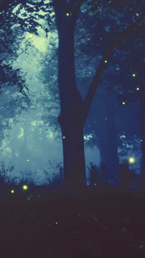 Fireflies light up the forest at night in a natural setting with trees Stock Footage 336172744