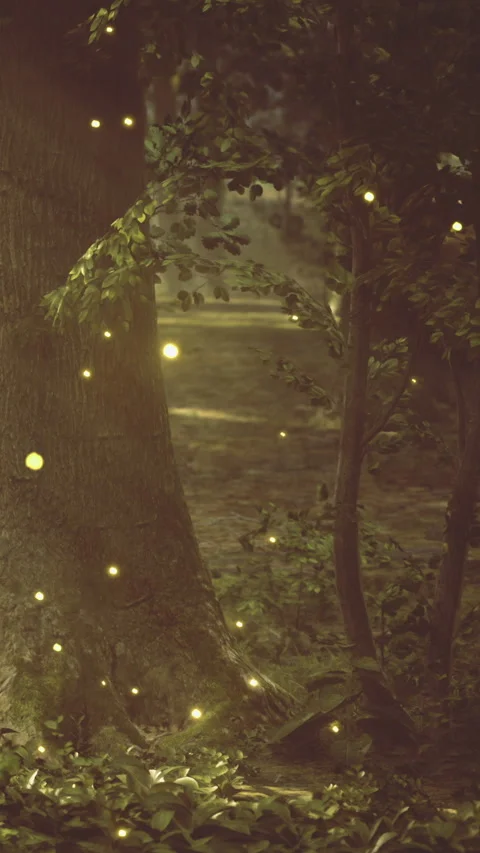 Fireflies light up the forest at night near a large tree in summer Stock Footage 331676196