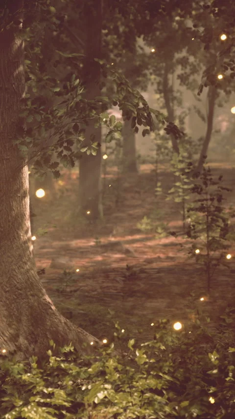 Fireflies light up the forest path during the evening hours in summer Stock Footage 342179876