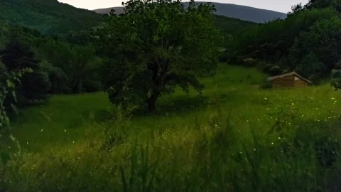 Fireflies lights captured on a time lapse 스톡 동영상 194038171