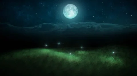 Fireflies loop Stock Footage 7899091