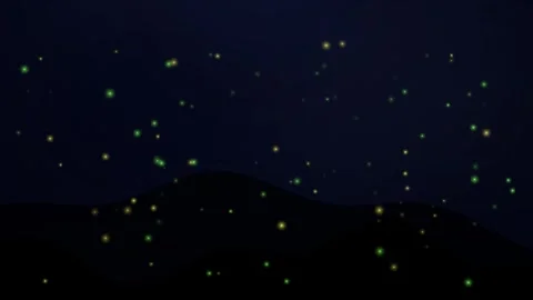 Fireflies in a magical dark forest 4K resolution Stock Footage 342080796