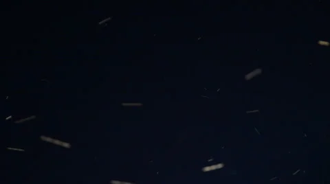 Fireflies in the night sky. Stock Footage 51869685