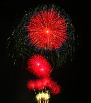 Fireflowers Stock Photos