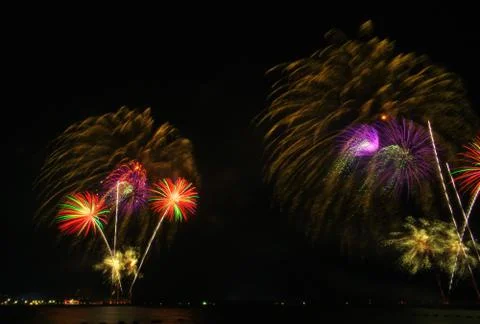 Fireflowers Stock Photos