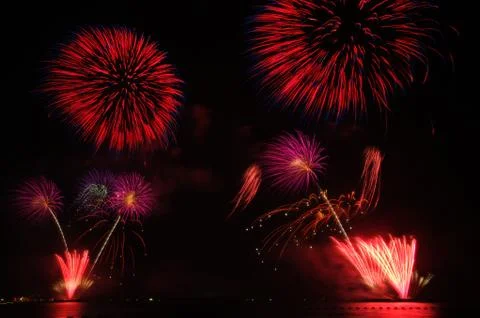 Fireflowers Stock Photos