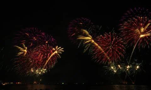 Fireflowers Stock Photos