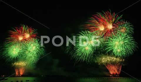 Fireflowers Stock Photos