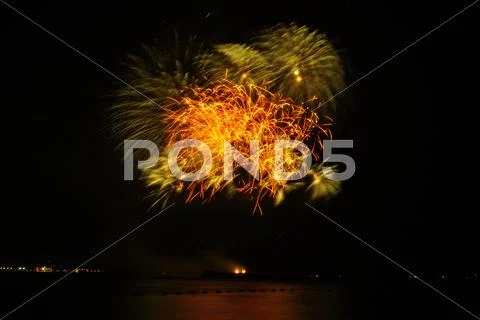 Fireflowers Stock Photos