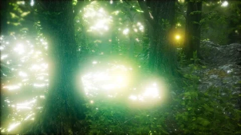 Firefly Flying in the Forest Vídeos de archivo 121514695