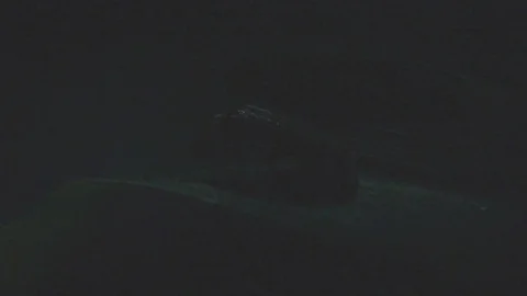 Firefly Stock Footage 78715188