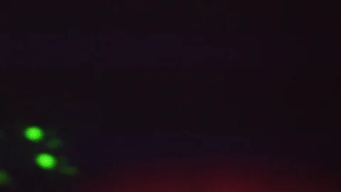 Firefly Stock Footage 93675772