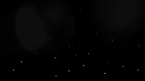 Firefly Glowing Particles Overlay Black Background Vídeos de archivo 334624838