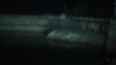 Firefly insects fly at night, slow motion Stock Footage 257938420