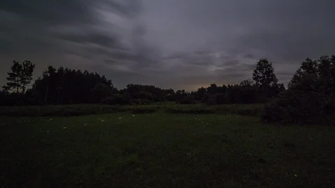 Firefly Light Trails, Arroostook State Park, Evening Time Lapse Stock Footage 93590021
